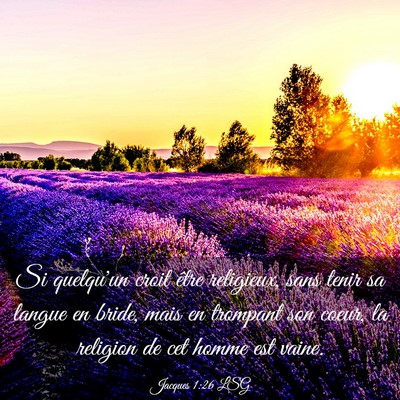 Picture 03 - Jacques 1:26 LSG - Si quelqu'un croit être religieux, sans tenir sa - Bible Verse Picture