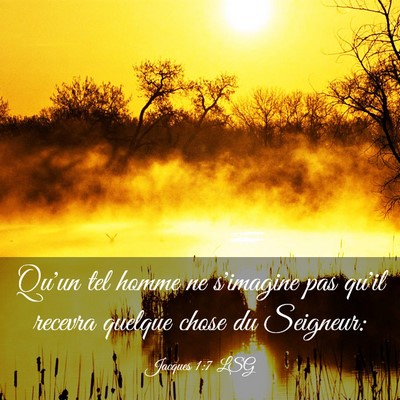 Picture 03 - Jacques 1:7 LSG - Qu'un tel homme ne s'imagine pas qu'il recevra - Bible Verse Picture