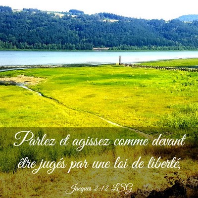 Picture 03 - Jacques 2:12 LSG - Parlez et agissez comme devant être jugés par - Bible Verse Picture