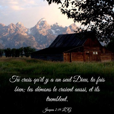 Picture 03 - Jacques 2:19 LSG - Tu crois qu'il y a un seul Dieu, tu fais bien; - Bible Verse Picture