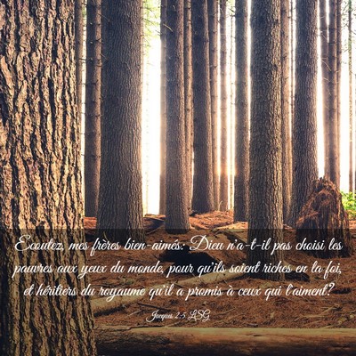 Picture 03 - Jacques 2:5 LSG - Ecoutez, mes frères bien-aimés: Dieu n'a-t-il - Bible Verse Picture