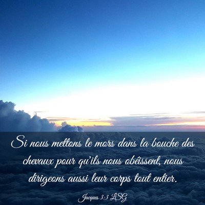 Picture 03 - Jacques 3:3 LSG - Si nous mettons le mors dans la bouche des - Bible Verse Picture
