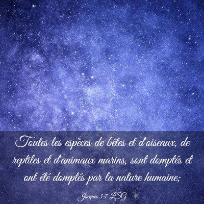 Picture 03 - Jacques 3:7 LSG - Toutes les espèces de bêtes et d'oiseaux, de - Bible Verse Picture