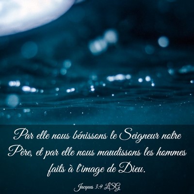 Picture 03 - Jacques 3:9 LSG - Par elle nous bénissons le Seigneur notre Père, - Bible Verse Picture