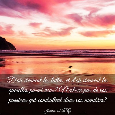 Picture 03 - Jacques 4:1 LSG - D'où viennent les luttes, et d'où viennent les - Bible Verse Picture