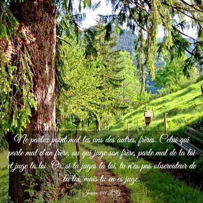 Picture 03 - Jacques 4:11 LSG - Ne parlez point mal les uns des autres, frères. - Bible Verse Picture