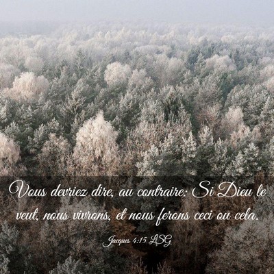 Picture 03 - Jacques 4:15 LSG - Vous devriez dire, au contraire: Si Dieu le veut, - Bible Verse Picture