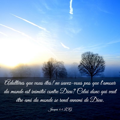 Picture 03 - Jacques 4:4 LSG - Adultères que vous êtes! ne savez-vous pas que - Bible Verse Picture