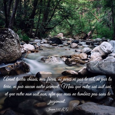 Picture 03 - Jacques 5:12 LSG - Avant toutes choses, mes frères, ne jurez ni par - Bible Verse Picture