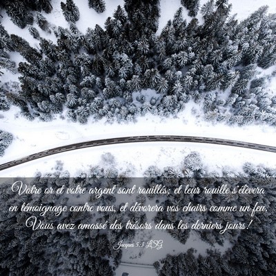 Picture 03 - Jacques 5:3 LSG - Votre or et votre argent sont rouillés; et leur - Bible Verse Picture