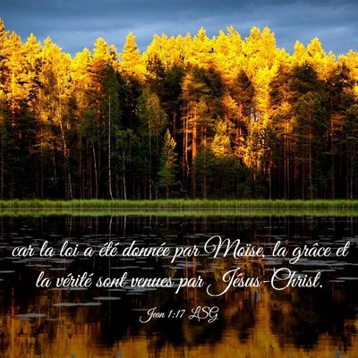 Picture 03 - Jean 1:17 LSG - car la loi a été donnée par Moïse, la grâce - Bible Verse Picture