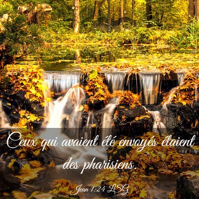 Picture 03 - Jean 1:24 LSG - Ceux qui avaient été envoyés étaient des - Bible Verse Picture