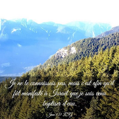 Picture 03 - Jean 1:31 LSG - Je ne le connaissais pas, mais c'est afin qu'il - Bible Verse Picture