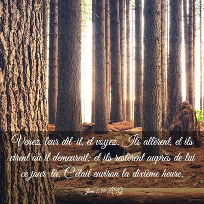 Picture 03 - Jean 1:39 LSG - Venez, leur dit-il, et voyez. Ils allèrent, et - Bible Verse Picture