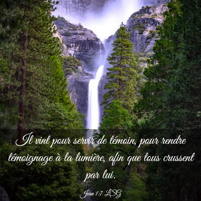 Picture 03 - Jean 1:7 LSG - Il vint pour servir de témoin, pour rendre - Bible Verse Picture