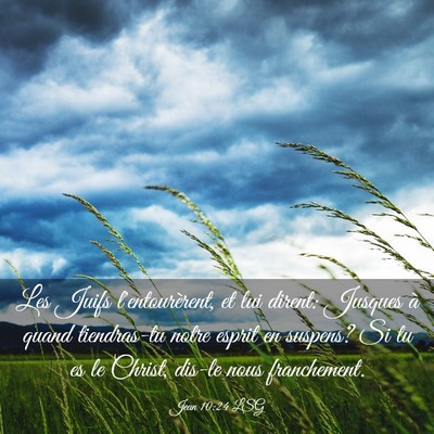 Picture 03 - Jean 10:24 LSG - Les Juifs l'entourèrent, et lui dirent: Jusques - Bible Verse Picture