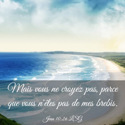 Picture 03 - Jean 10:26 LSG - Mais vous ne croyez pas, parce que vous n'êtes - Bible Verse Picture