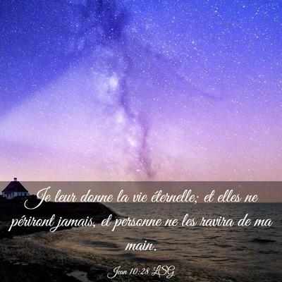Picture 03 - Jean 10:28 LSG - Je leur donne la vie éternelle; et elles ne - Bible Verse Picture