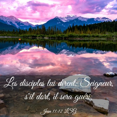 Picture 03 - Jean 11:12 LSG - Les disciples lui dirent: Seigneur, s'il dort, il - Bible Verse Picture