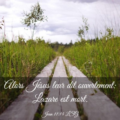 Picture 03 - Jean 11:14 LSG - Alors Jésus leur dit ouvertement: Lazare est - Bible Verse Picture