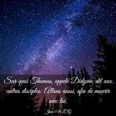 Picture 03 - Jean 11:16 LSG - Sur quoi Thomas, appelé Didyme, dit aux autres - Bible Verse Picture