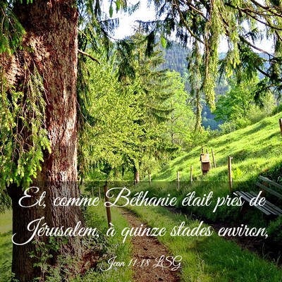 Picture 03 - Jean 11:18 LSG - Et, comme Béthanie était près de Jérusalem, - Bible Verse Picture
