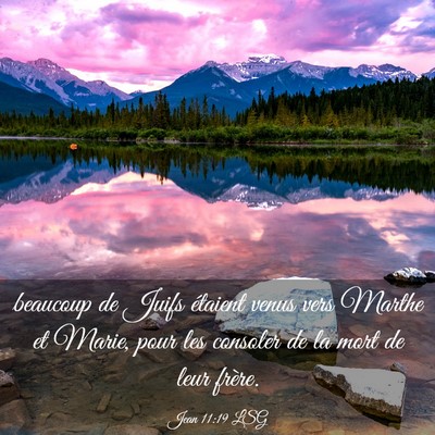 Picture 03 - Jean 11:19 LSG - beaucoup de Juifs étaient venus vers Marthe et - Bible Verse Picture