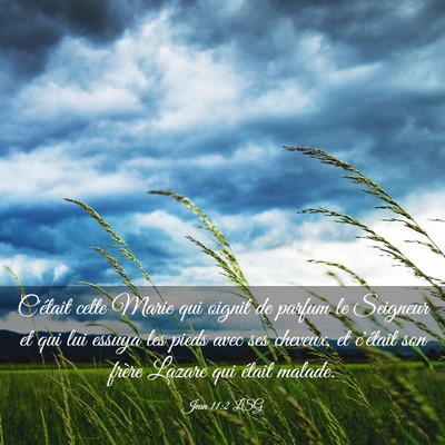 Picture 03 - Jean 11:2 LSG - C'était cette Marie qui oignit de parfum le - Bible Verse Picture