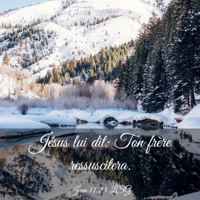 Picture 03 - Jean 11:23 LSG - Jésus lui dit: Ton frère - Bible Verse Picture