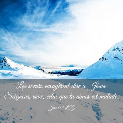 Picture 03 - Jean 11:3 LSG - Les soeurs envoyèrent dire à Jésus: Seigneur, - Bible Verse Picture