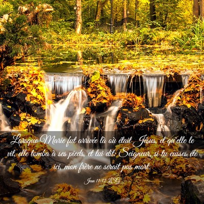 Picture 03 - Jean 11:32 LSG - Lorsque Marie fut arrivée là où était Jésus, - Bible Verse Picture