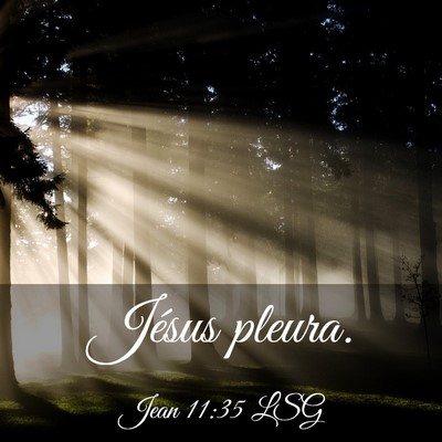 Picture 03 - Jean 11:35 LSG - Jésus - Bible Verse Picture