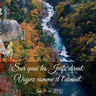Picture 03 - Jean 11:36 LSG - Sur quoi les Juifs dirent: Voyez comme il - Bible Verse Picture