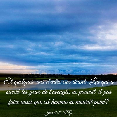 Picture 03 - Jean 11:37 LSG - Et quelques-uns d'entre eux dirent: Lui qui a - Bible Verse Picture