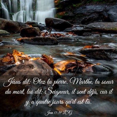Picture 03 - Jean 11:39 LSG - Jésus dit: Otez la pierre. Marthe, la soeur du - Bible Verse Picture