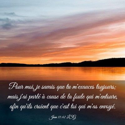 Picture 03 - Jean 11:42 LSG - Pour moi, je savais que tu m'exauces toujours; - Bible Verse Picture