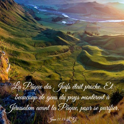 Picture 03 - Jean 11:55 LSG - La Pâque des Juifs était proche. Et beaucoup de - Bible Verse Picture