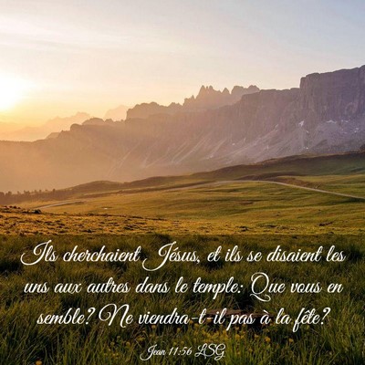 Picture 03 - Jean 11:56 LSG - Ils cherchaient Jésus, et ils se disaient les - Bible Verse Picture