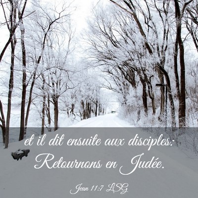 Picture 03 - Jean 11:7 LSG - et il dit ensuite aux disciples: Retournons en - Bible Verse Picture