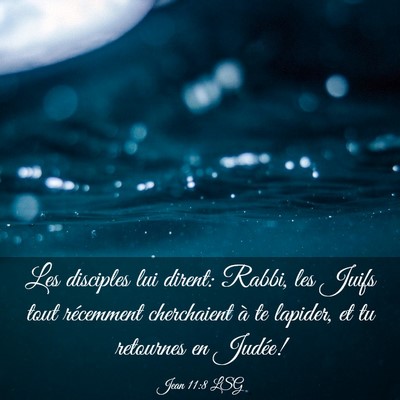 Picture 03 - Jean 11:8 LSG - Les disciples lui dirent: Rabbi, les Juifs tout - Bible Verse Picture