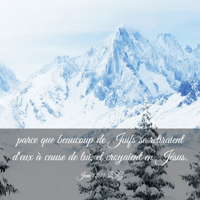 Picture 03 - Jean 12:11 LSG - parce que beaucoup de Juifs se retiraient d'eux - Bible Verse Picture