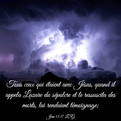 Picture 03 - Jean 12:17 LSG - Tous ceux qui étaient avec Jésus, quand il - Bible Verse Picture