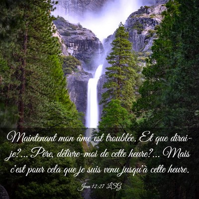 Picture 03 - Jean 12:27 LSG - Maintenant mon âme est troublée. Et que - Bible Verse Picture