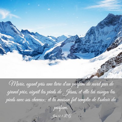Picture 03 - Jean 12:3 LSG - Marie, ayant pris une livre d'un parfum de nard - Bible Verse Picture