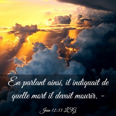 Picture 03 - Jean 12:33 LSG - En parlant ainsi, il indiquait de quelle mort il - Bible Verse Picture