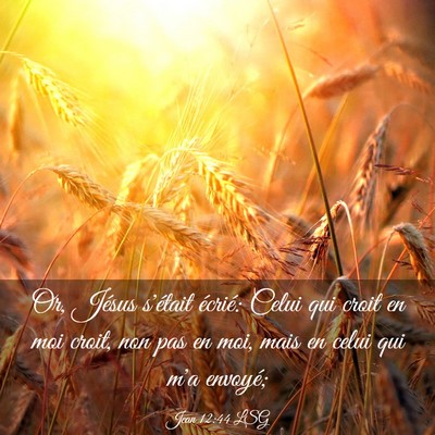 Picture 03 - Jean 12:44 LSG - Or, Jésus s'était écrié: Celui qui croit en - Bible Verse Picture