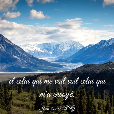 Picture 03 - Jean 12:45 LSG - et celui qui me voit voit celui qui m'a - Bible Verse Picture