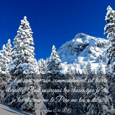 Picture 03 - Jean 12:50 LSG - Et je sais que son commandement est la vie - Bible Verse Picture