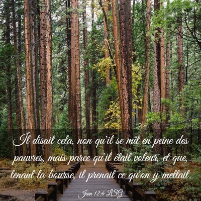 Picture 03 - Jean 12:6 LSG - Il disait cela, non qu'il se mît en peine des - Bible Verse Picture