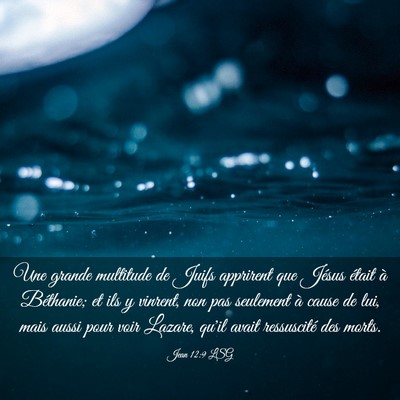 Picture 03 - Jean 12:9 LSG - Une grande multitude de Juifs apprirent que - Bible Verse Picture
